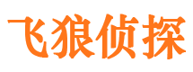 狮子山市侦探调查公司